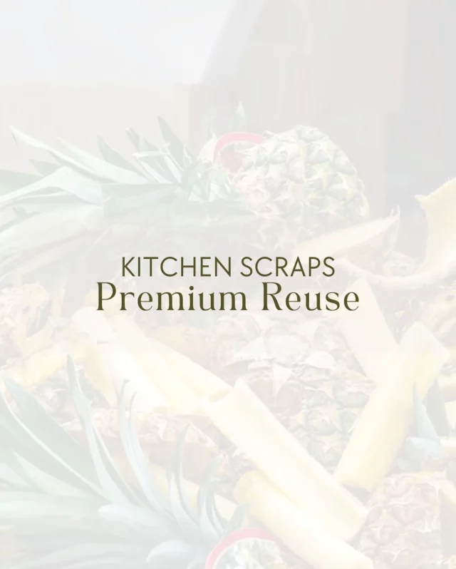 ♻️ Zero-Waste Pastry: Turning Scraps into Luxury

In remote resorts, every ingredient matters—and every scrap has potential.

This carousel is packed with simple, elegant ways to reuse common pastry byproducts like strawberry tops, coffee grounds, and citrus peels. These aren’t just eco-friendly tricks—they’re chances to add meaning, beauty, and story to your guest experience.

Start small. One ingredient. One idea.
And show your guests that sustainability can taste 𝘫𝘶𝘴𝘵 𝘢𝘴 𝘨𝘰𝘰𝘥 as it feels.

👇 Swipe through for inspiration—and tag someone who’d love these ideas.

#zerowastepastry #sustainablehospitality #remoteresorts